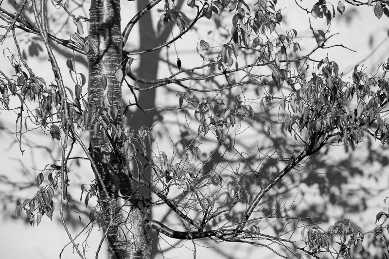 TRAVEL NOTES::DAY 15 | AND THE SUN APPEARED