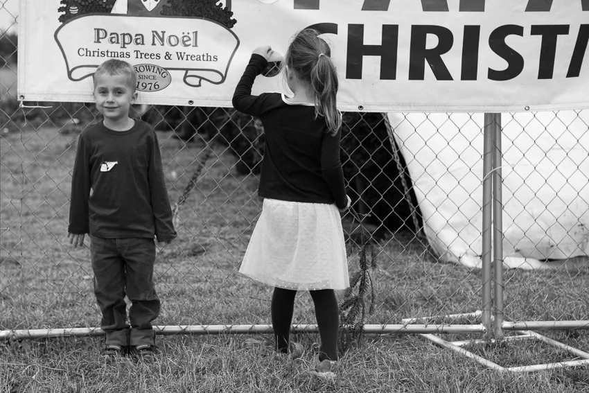 TWO PARTIES AND A TREE