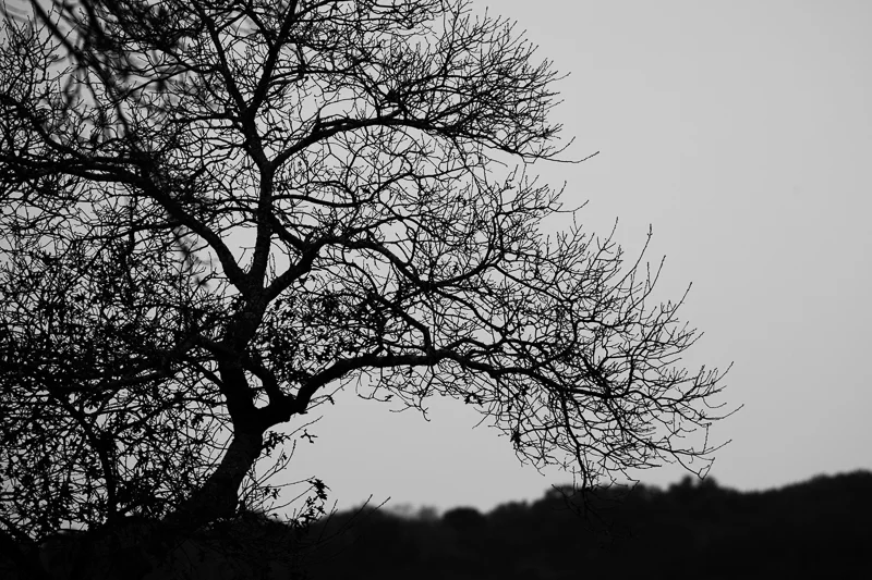 2014::THE YEAR OF NEW BEGINNINGS