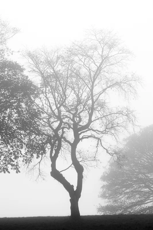 2013::A YEAR OF CHANGE