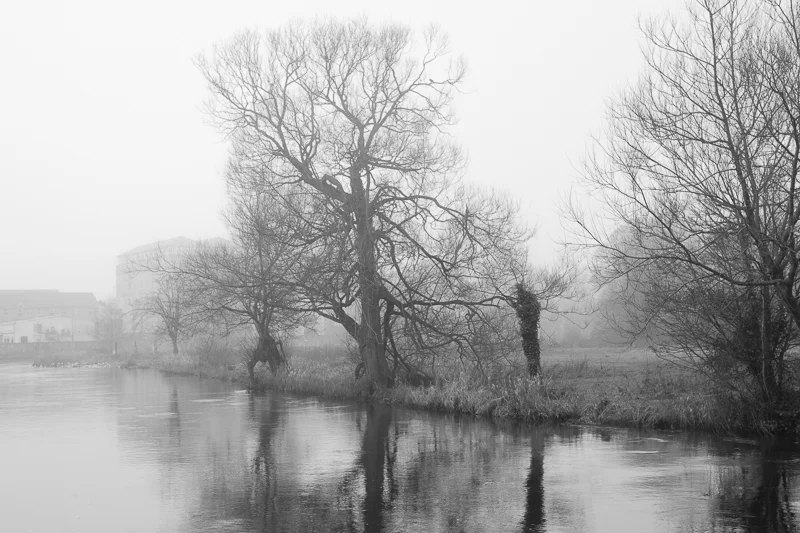 SUNDAY WITHOUT WORDS