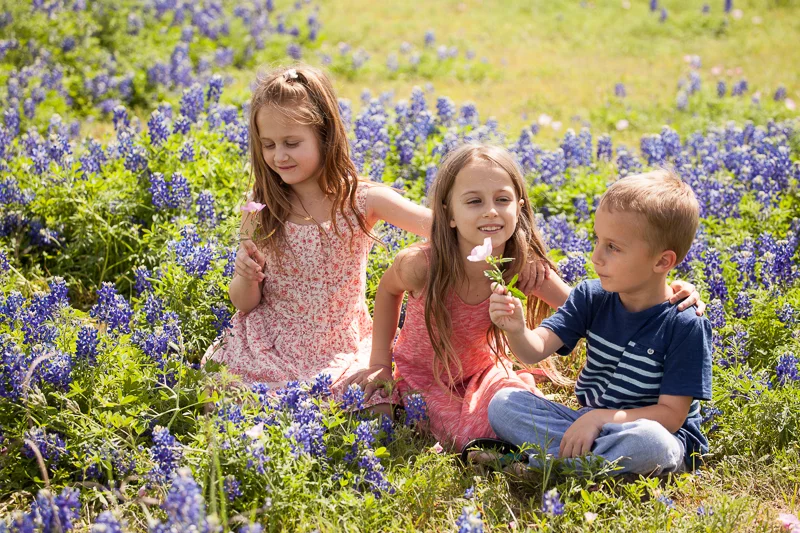 AT LAST THE BLUEBONNETS