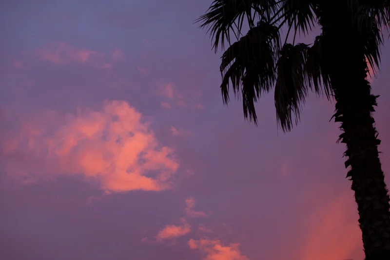 FOR BETTER FOR WORSE