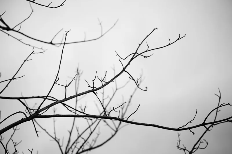 PEA SOUP JUMPY HOUSE