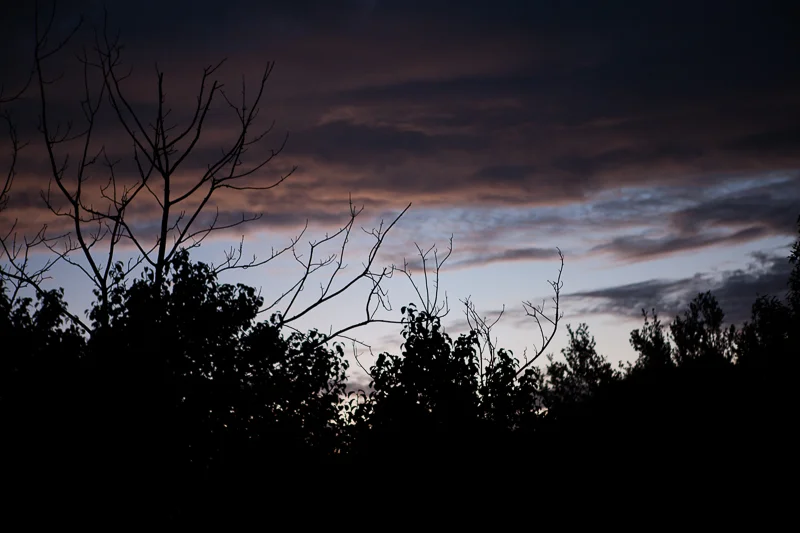 LUCK OF A WHIRLWIND DAY