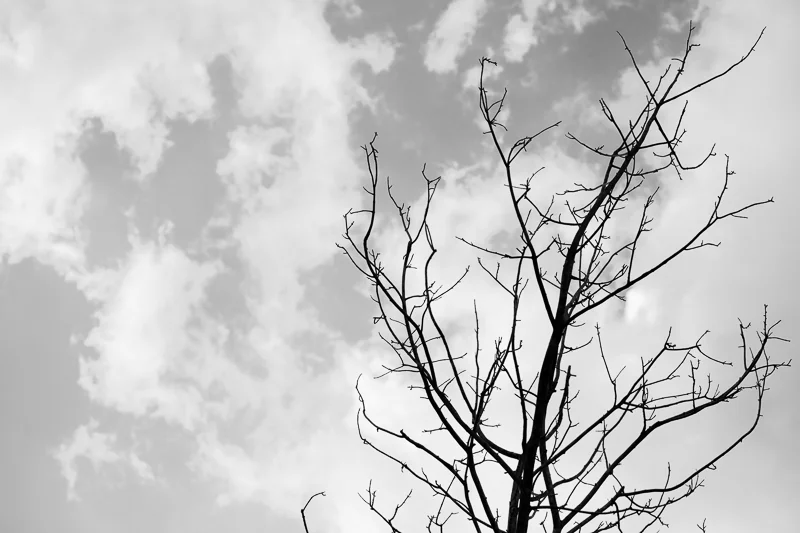 ANOTHER OF THOSE DAYS