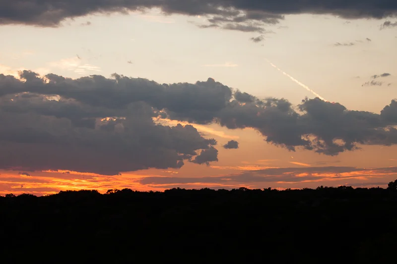 REASON FOR EVERYTHING