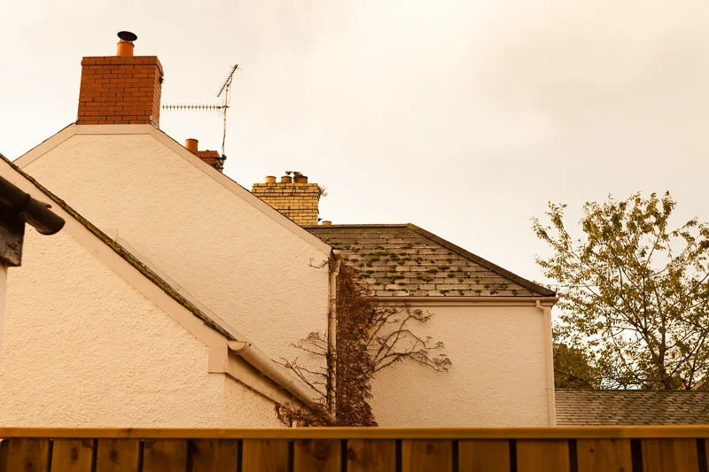 CAT IN THE HAT SUNDAY