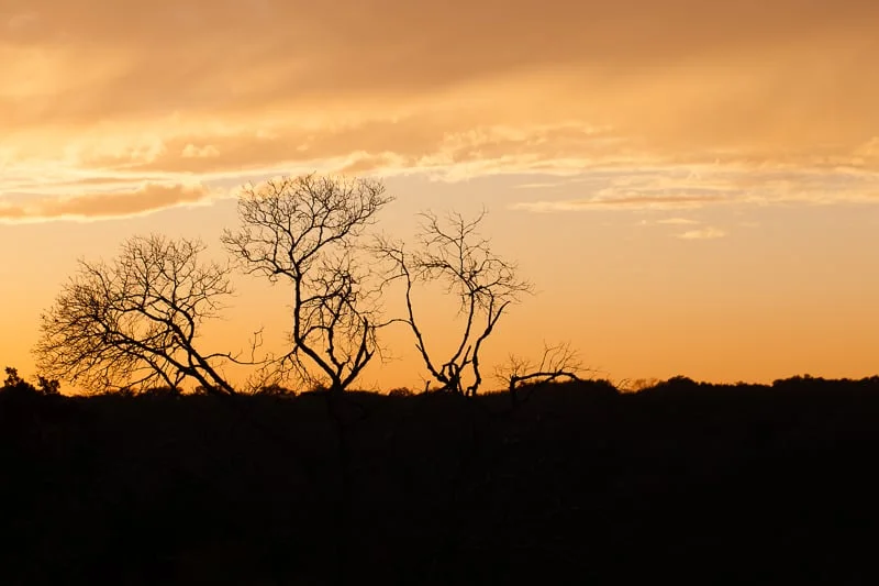 RETURN TO HIBERNATION