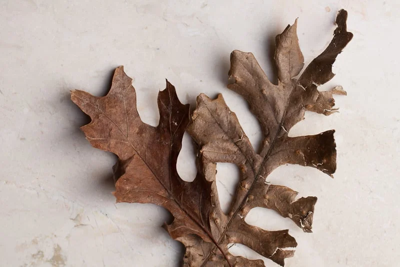 TO MY CHILDREN WITH LOVE