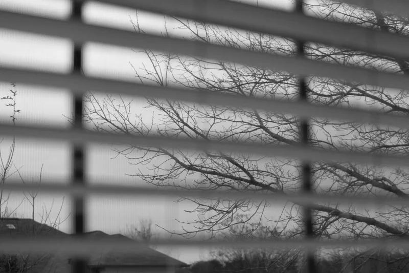 NOT TODAY NOT TOMORROW