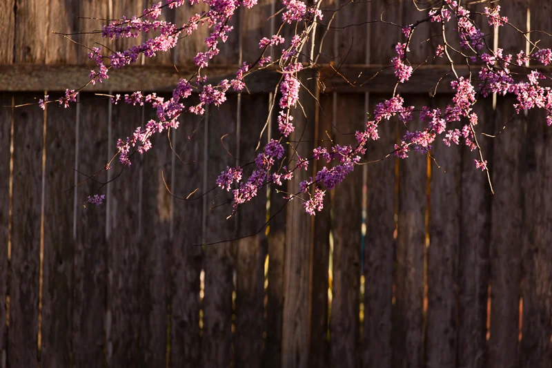 STILL SEARCHING FOR THAT SILVER LINING