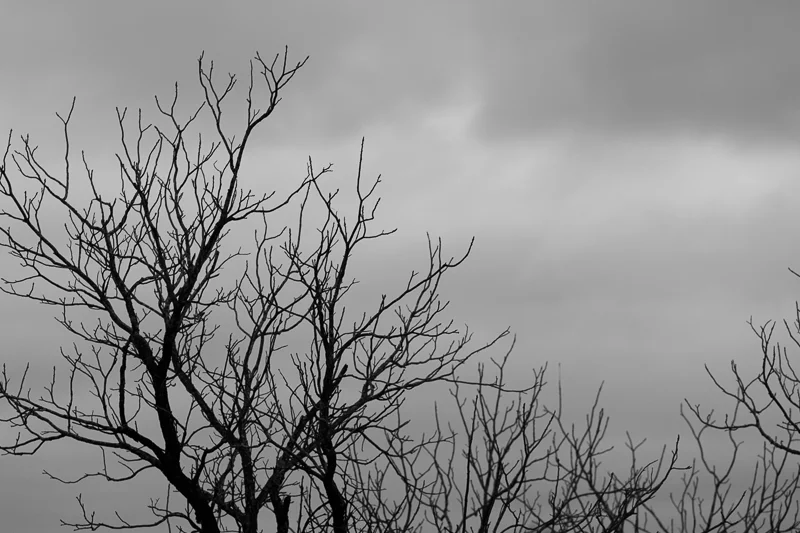 RAINY DECEMBER SUNDAY