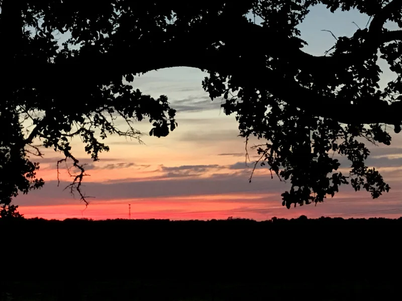 A PRODUCTIVE SATURDAY