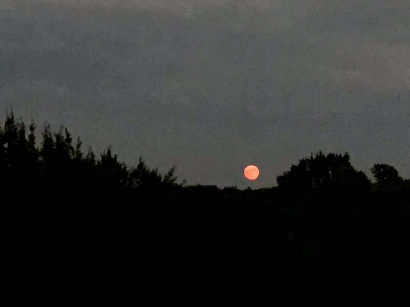 INTENDED DESTINATION