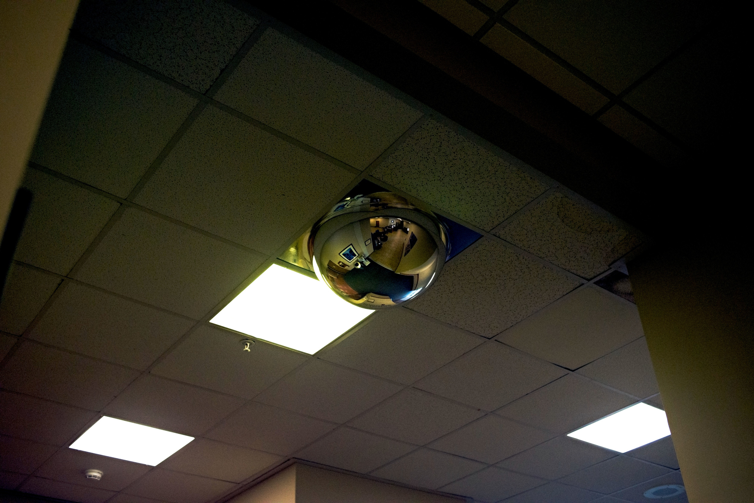 In Focus ceiling'.jpg