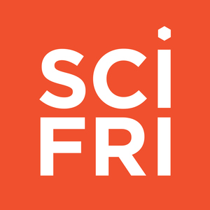 scifri13.jpg