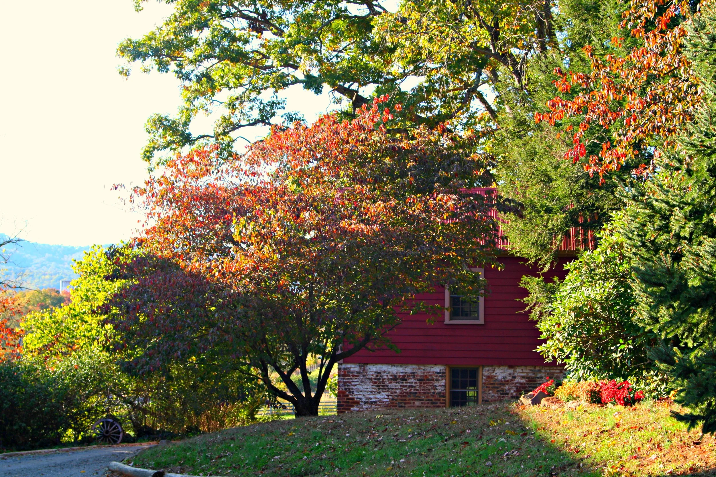 Autumn view of the Summer Kitchen Cottage