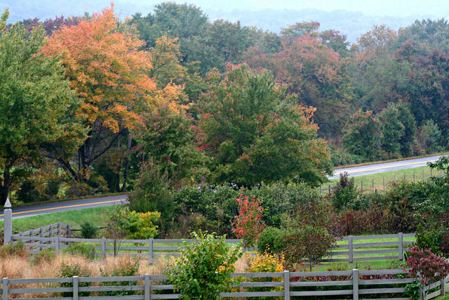  Autumn view from the Summer Kitchen Cottage 