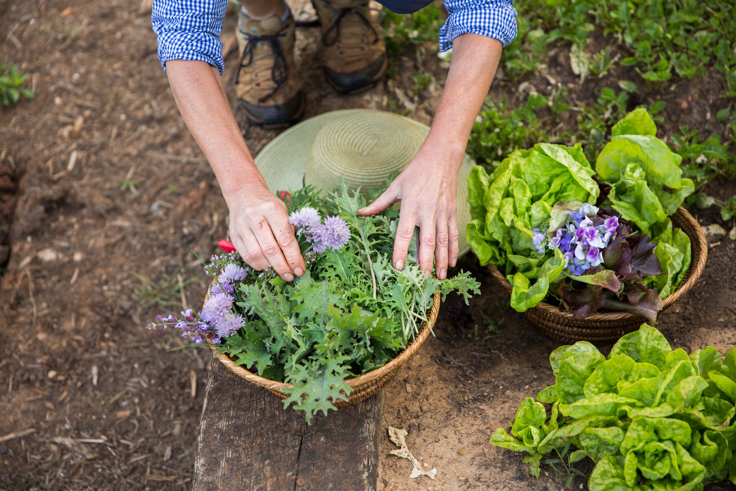 PHF_Eric Kelley_Garden Shoot_2017.JPG 100.JPG