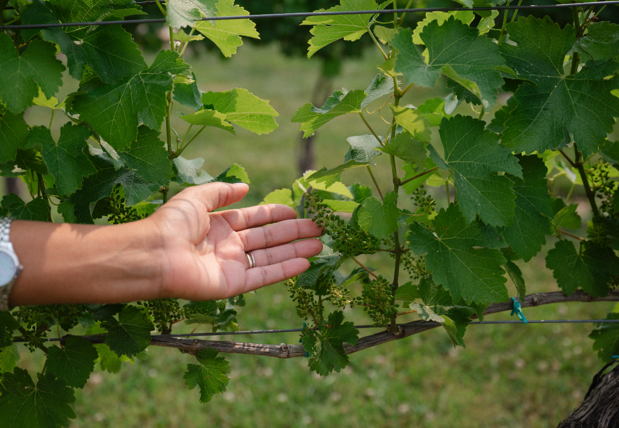 Screenshot 2026-04-21 at 2.22.00 PM.png