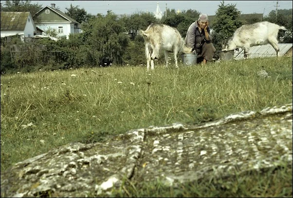 Goats and Stones