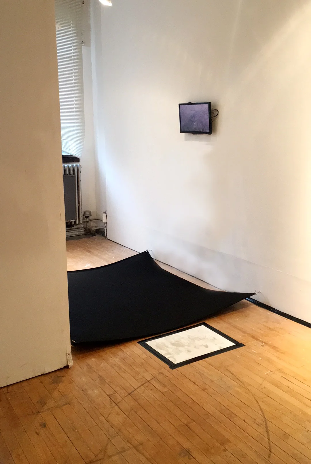 Installation view of Olive, Olive, Olive