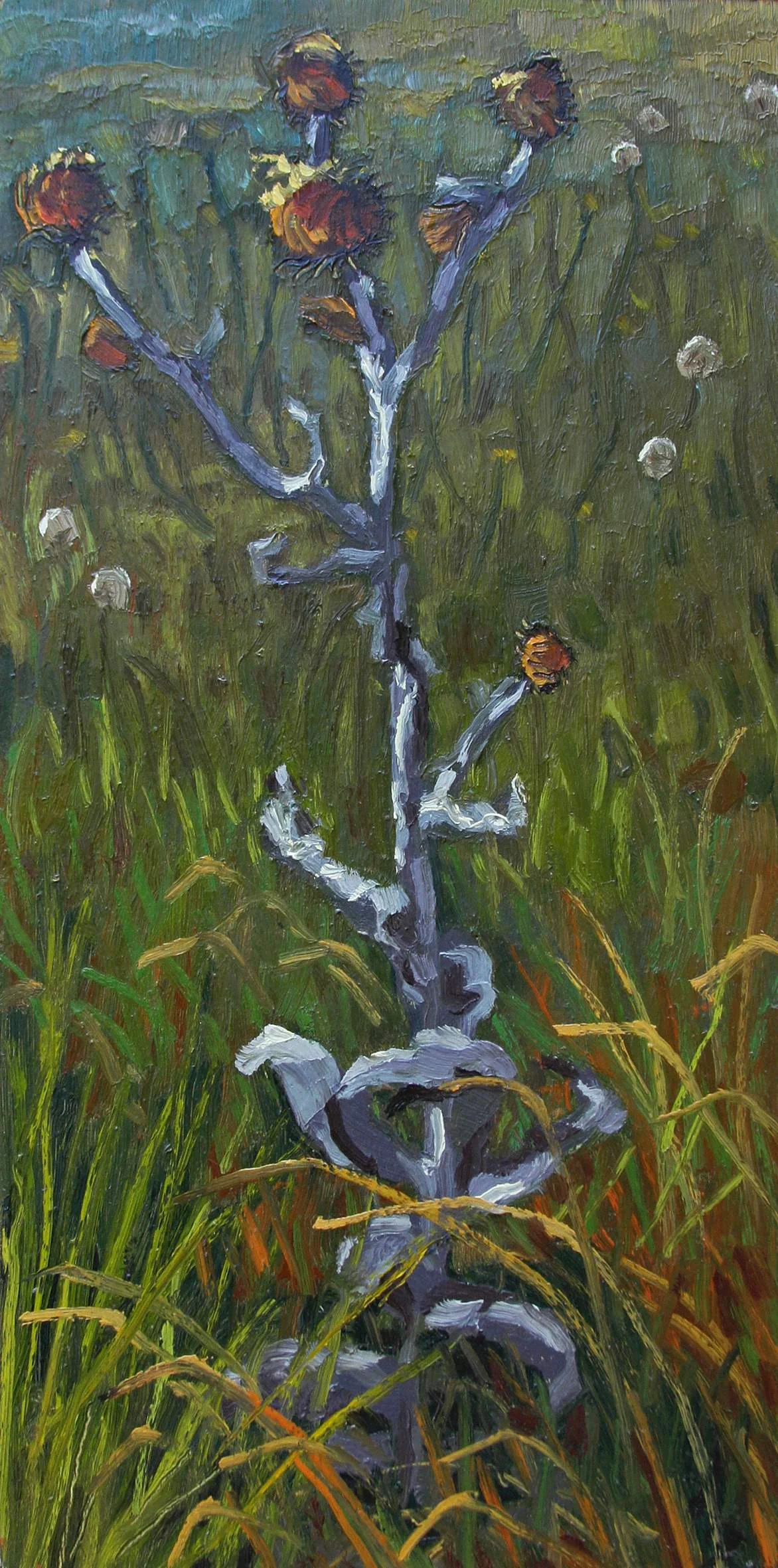 The Spinning Thistle