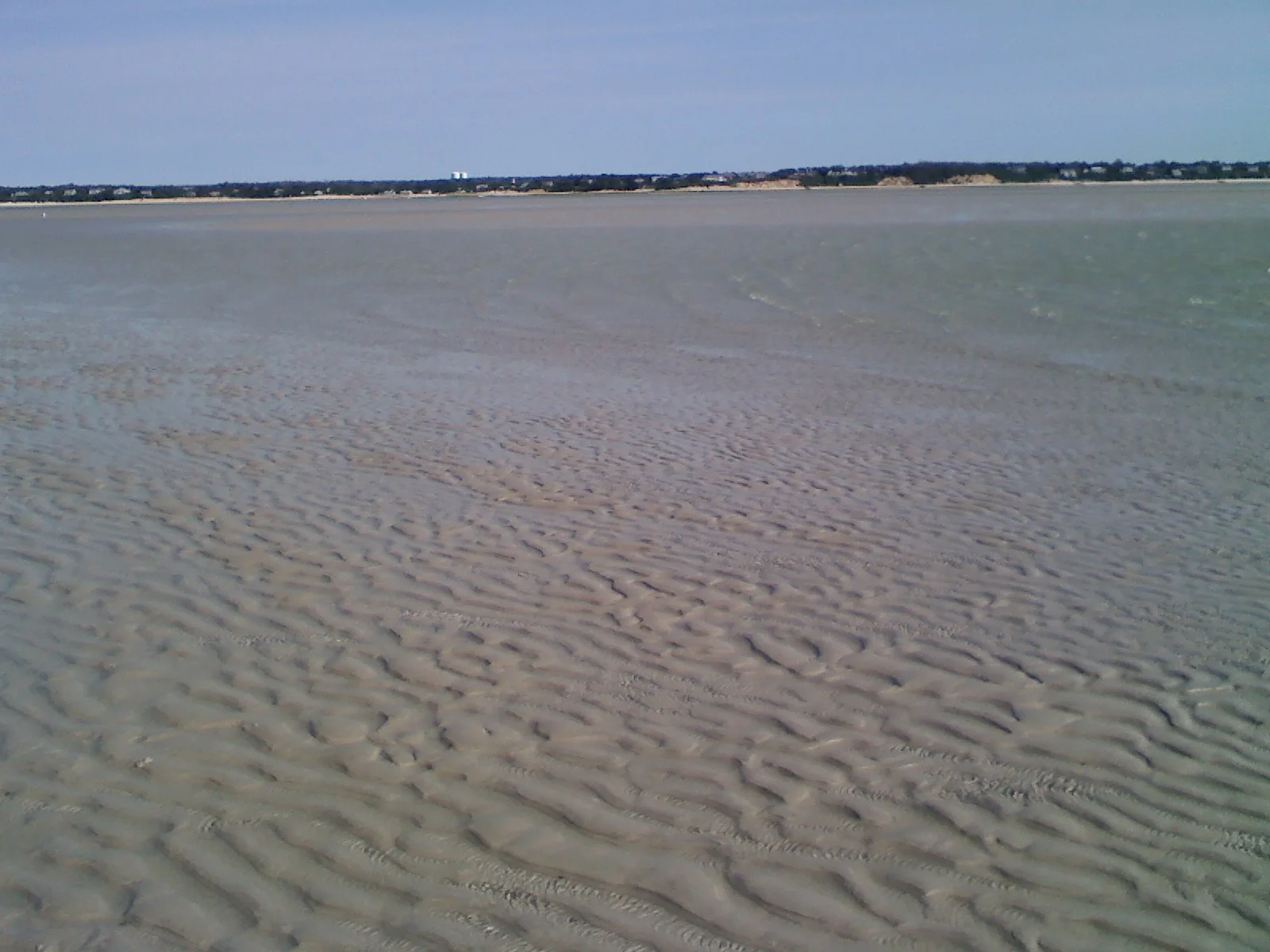 The view of the shore, looking back from the edge of the bay waters.