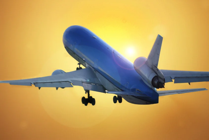 fly 3.jpg