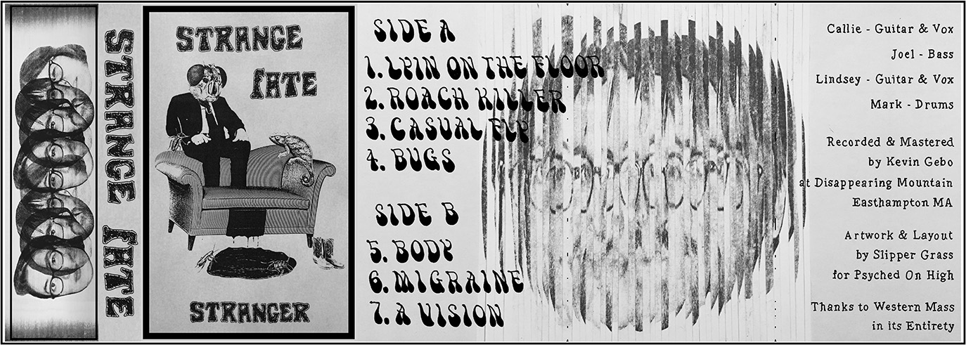 Strange Fate Cassette Layout Final Small.jpg