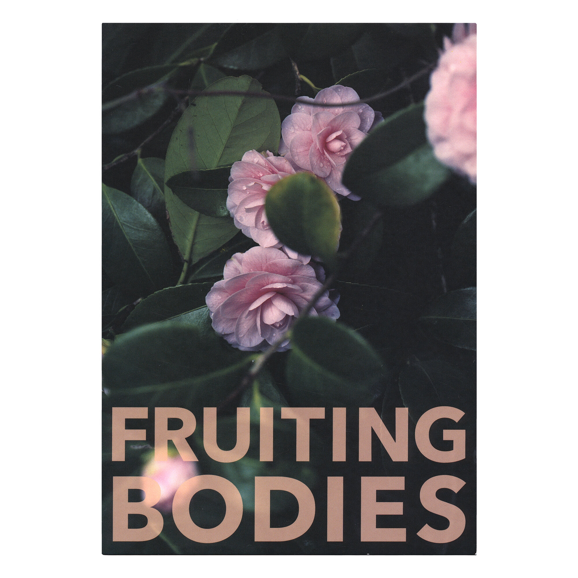 fruiting-bodies_postcard_web.jpg