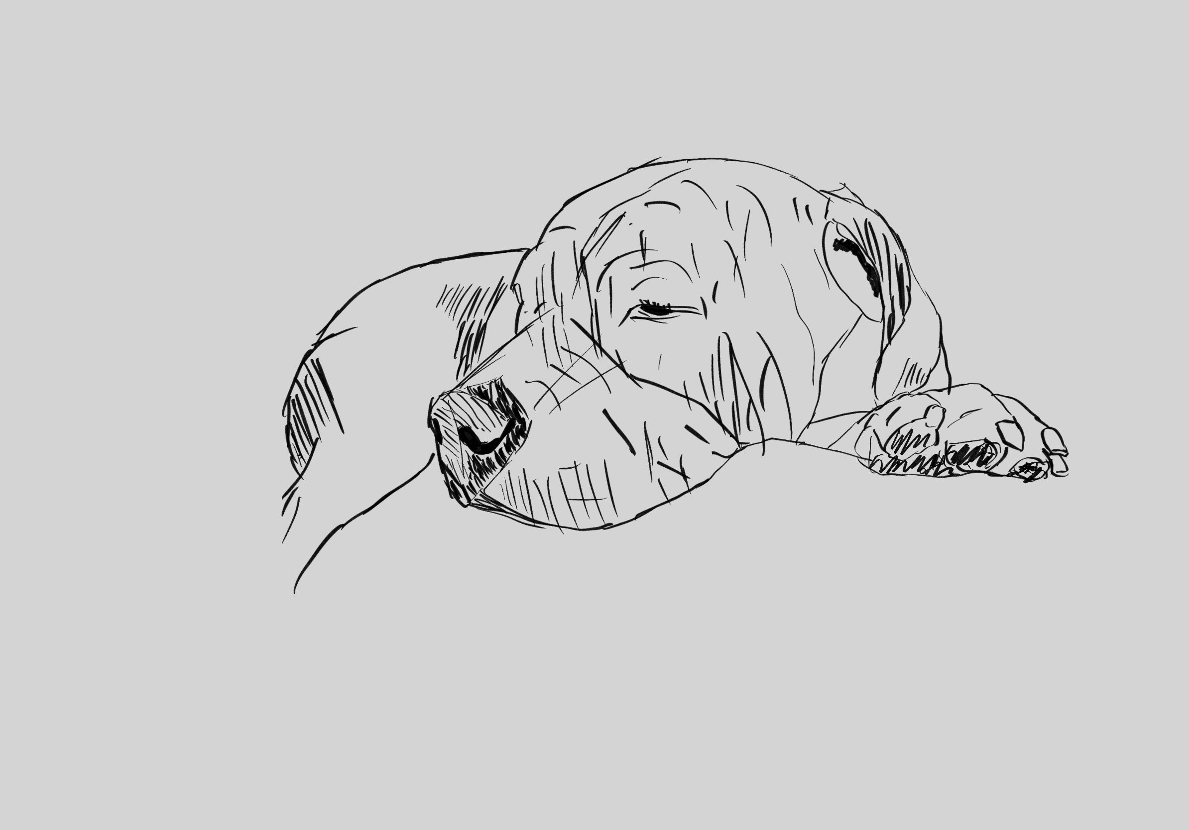 sylvia_animated.gif