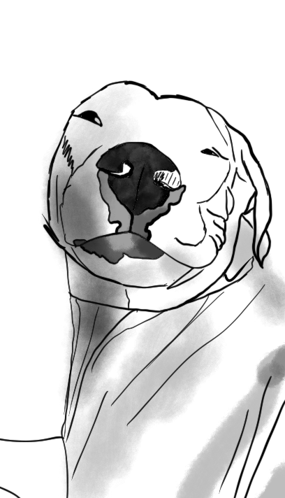 sylvia_rotoscope.gif