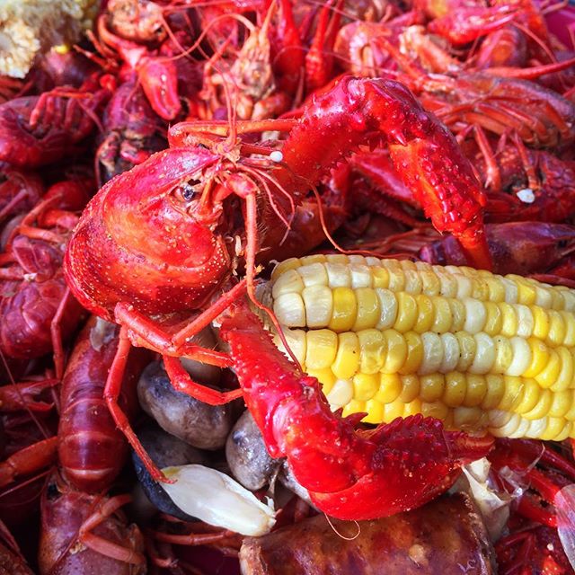 Meanwhile in Louisiana, everyone around me is devouring their crawfish as though it's going to crawl back into a mud hole while I'm peeling slower than a decoupager watching a Martha Stewart marathon. #crawfish #crawfishboil #louisiana #louisianaseaf
