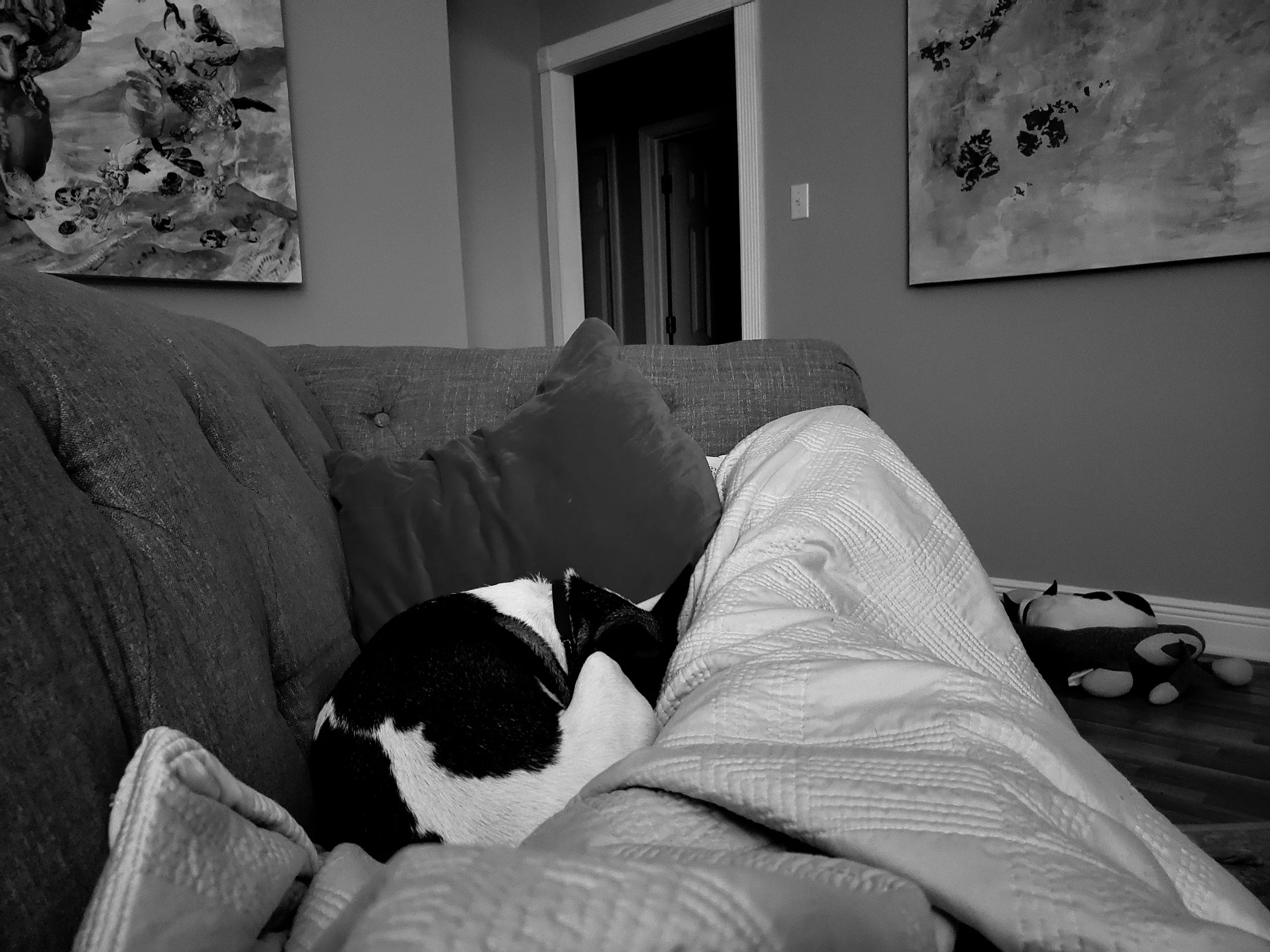 Snuggling up on a cold day