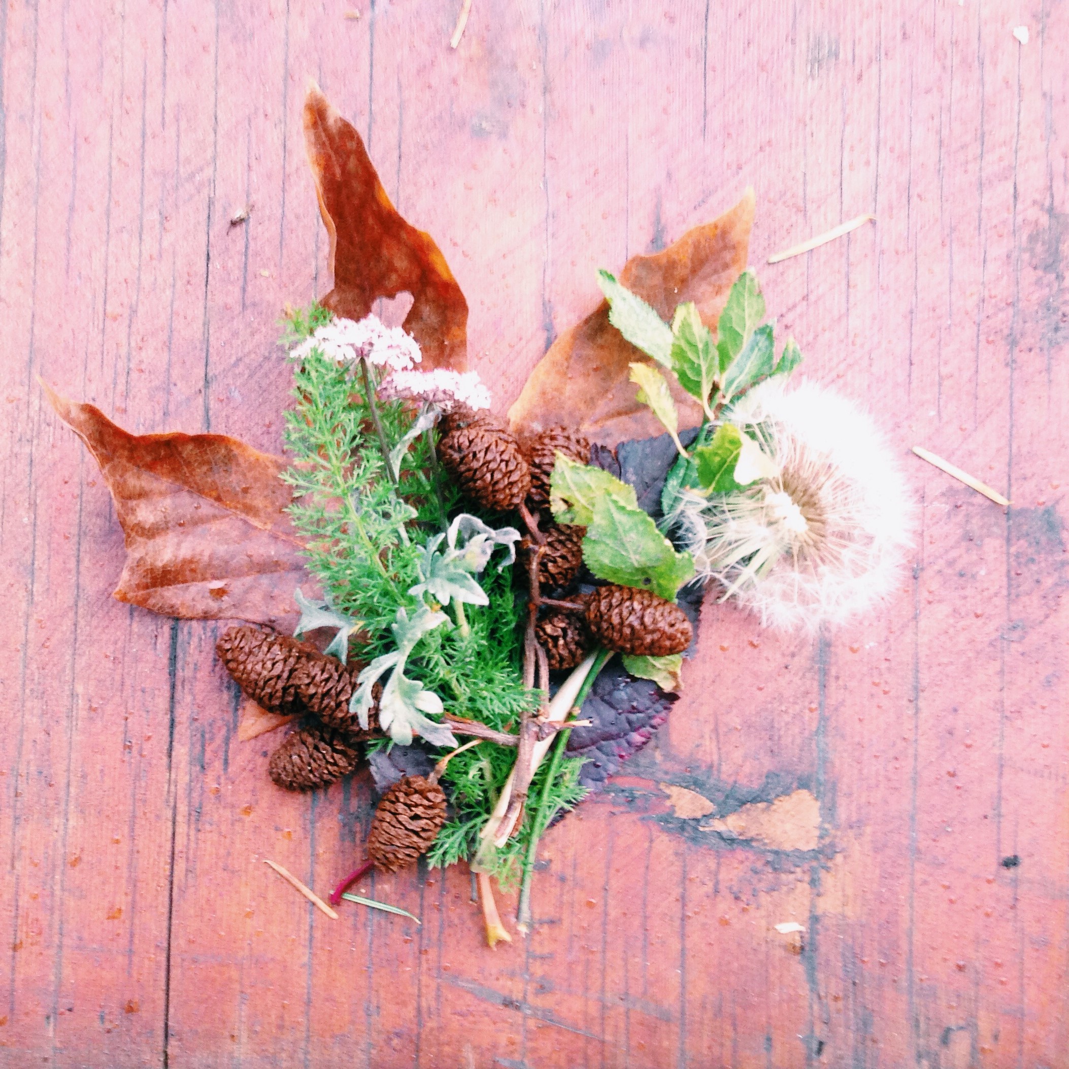 seaside assemblage by Olivia