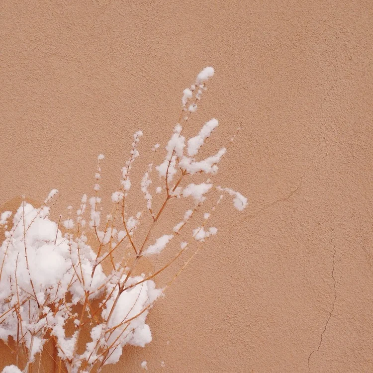 Red Letter Day, No. 2