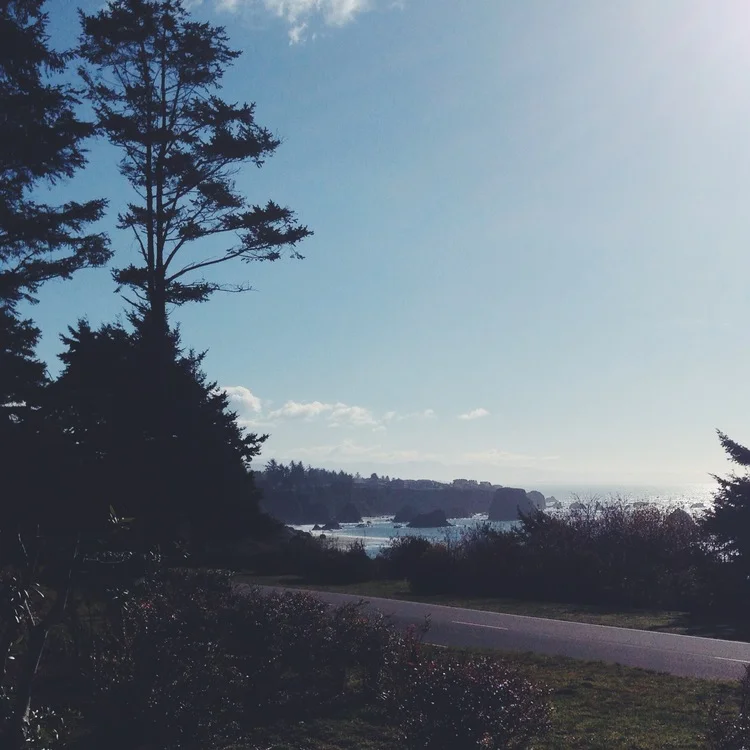 Tides and Trees