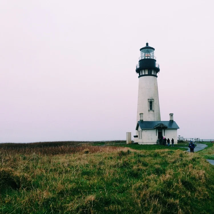 The Lighthouse and the Octopus