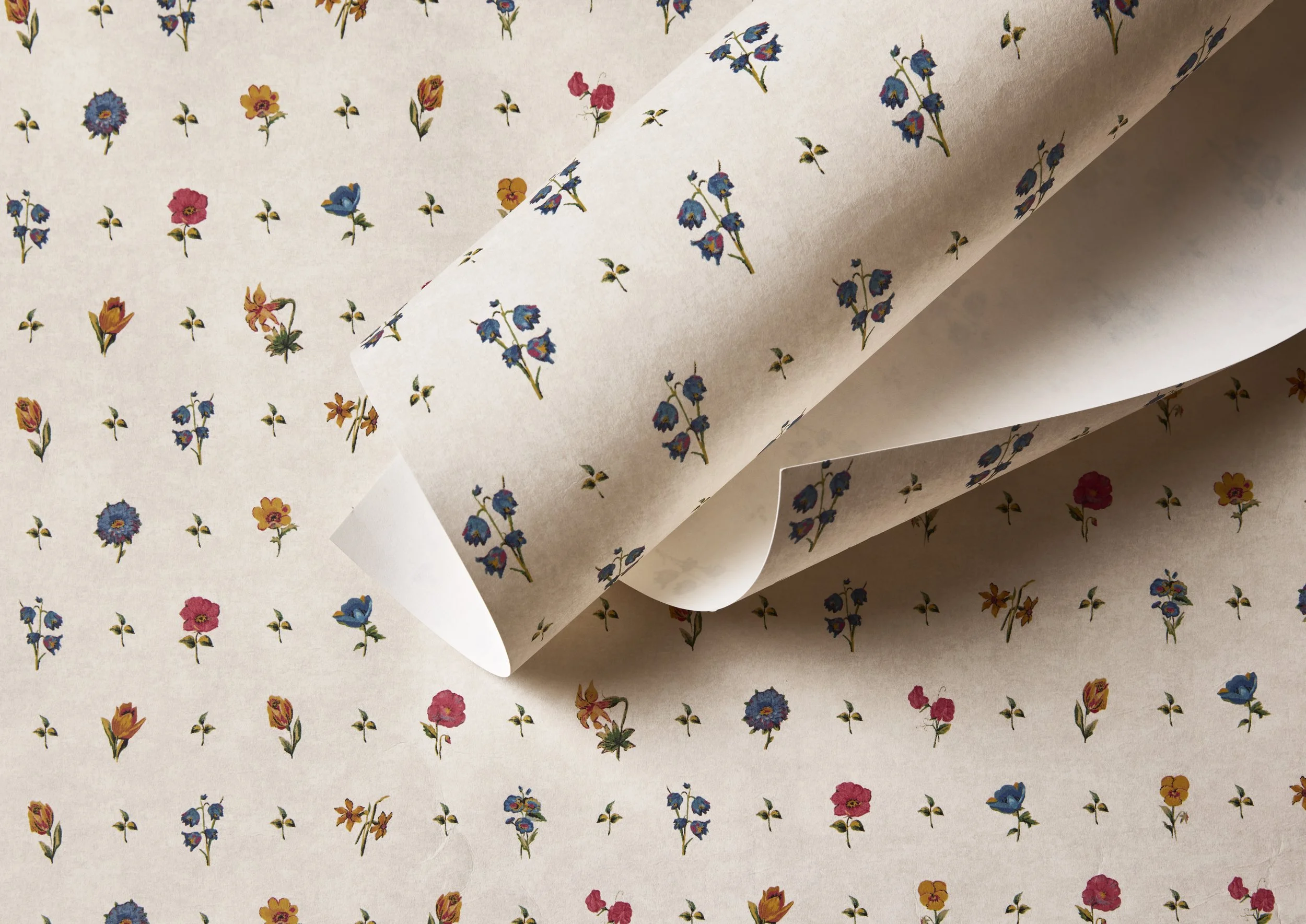 LevesonDesign_0110250923 copy.jpg