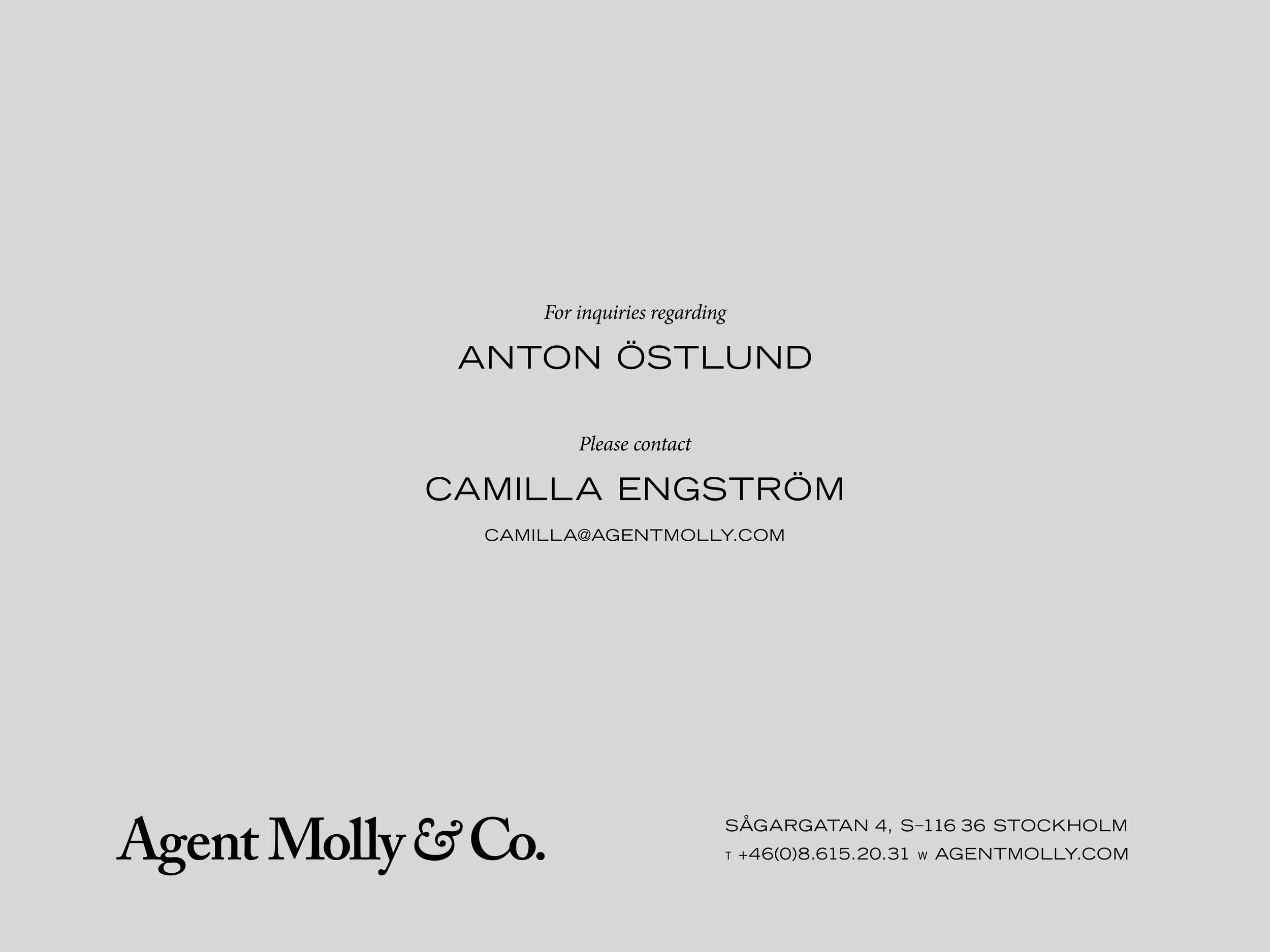 Digital portfolio-anton-2.jpg