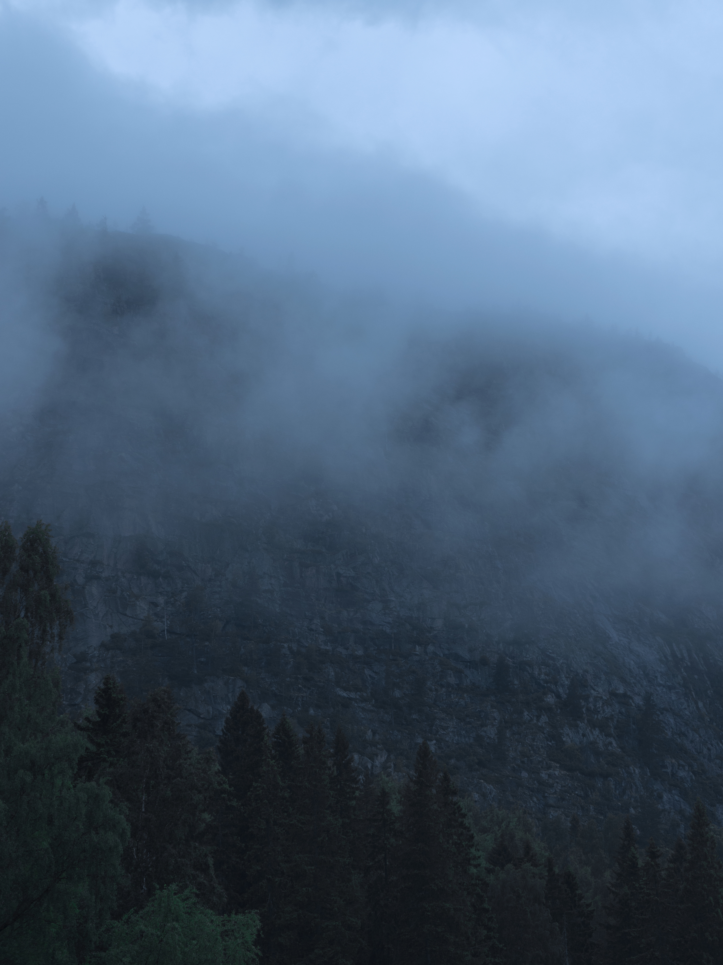 _DSC4341.jpg
