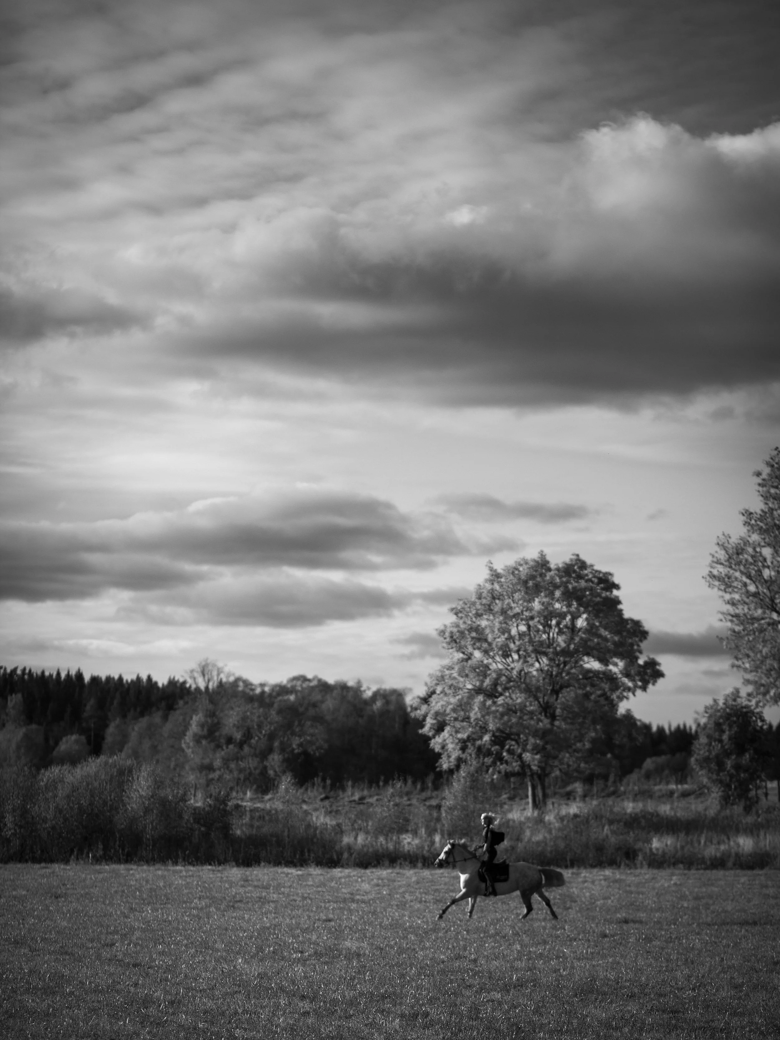 _MG_7576.jpg