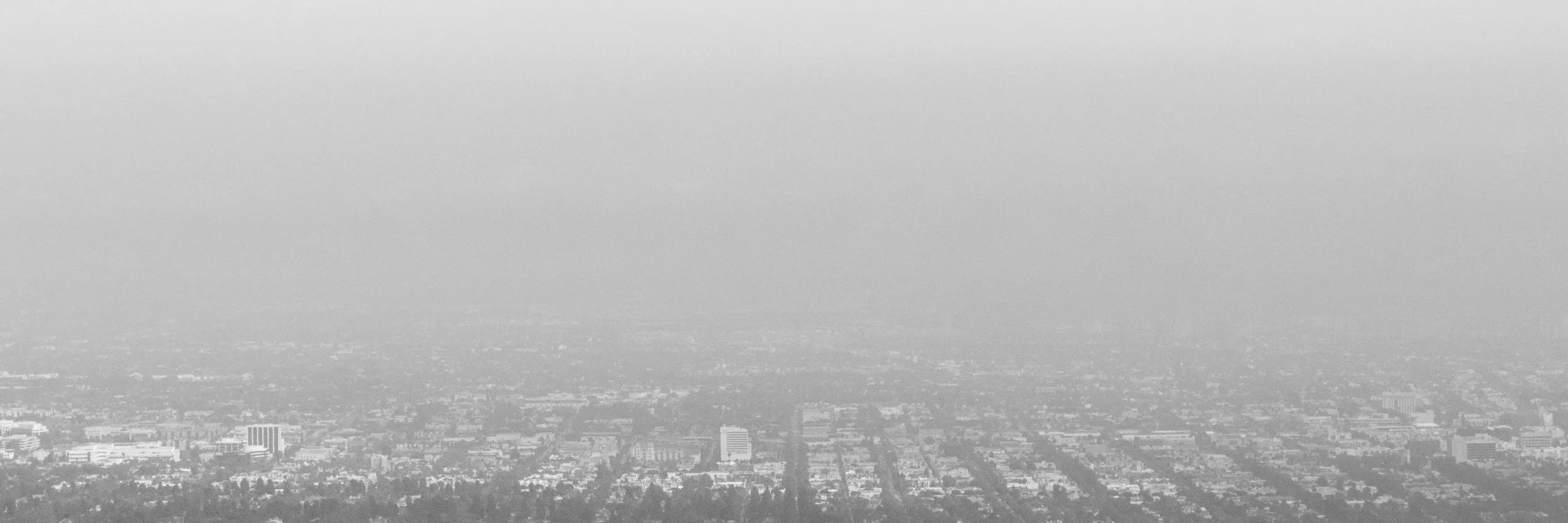 _DSC5565.jpg