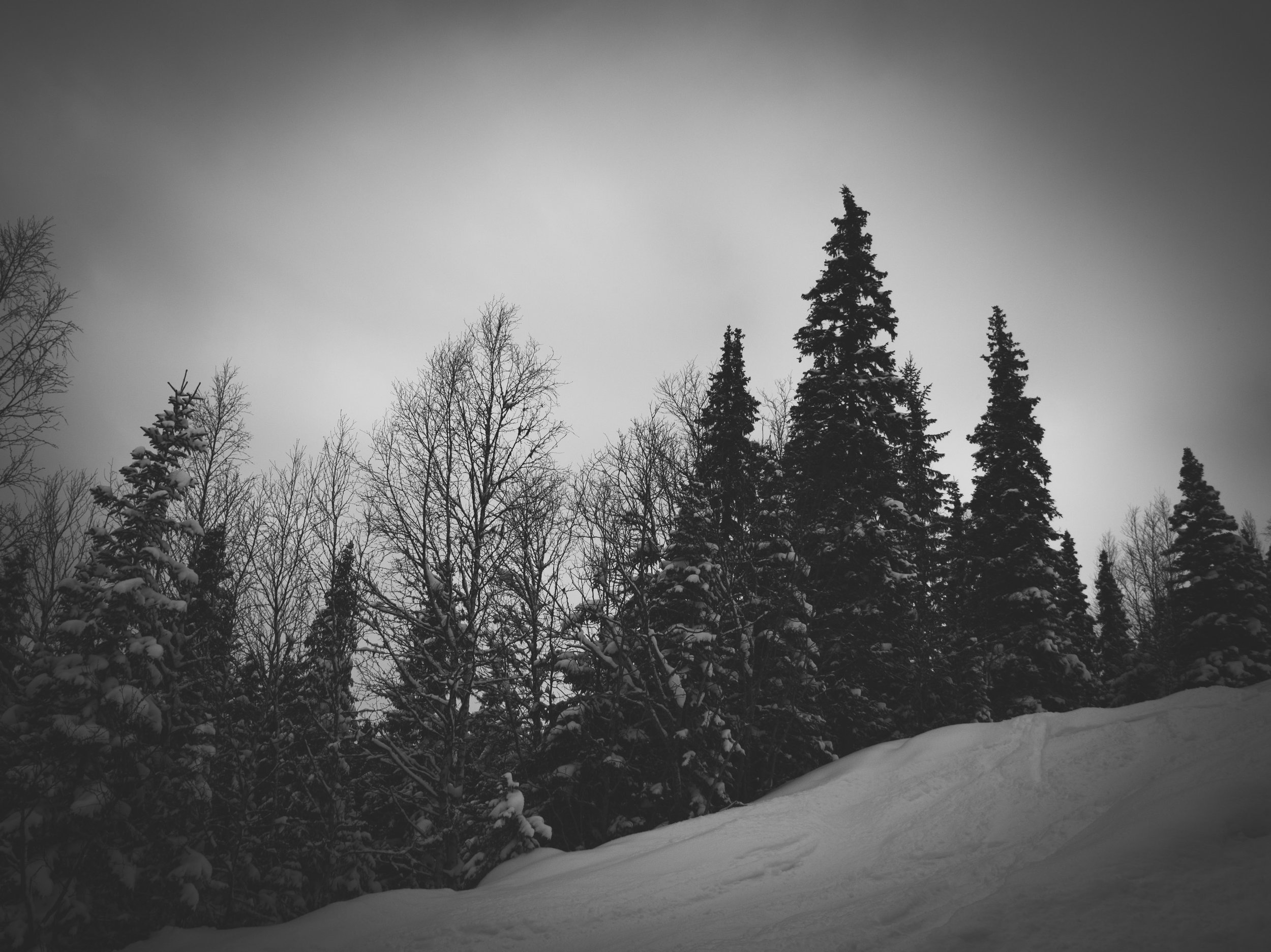 _DSC8846.jpg