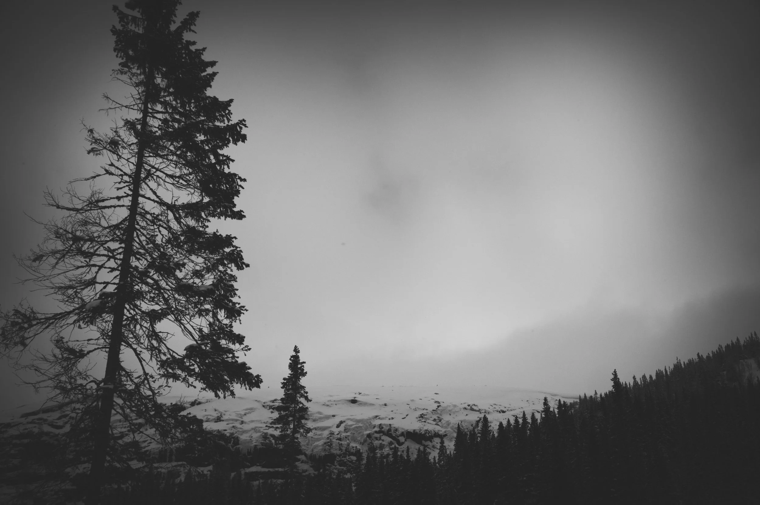 _DSC8871.jpg
