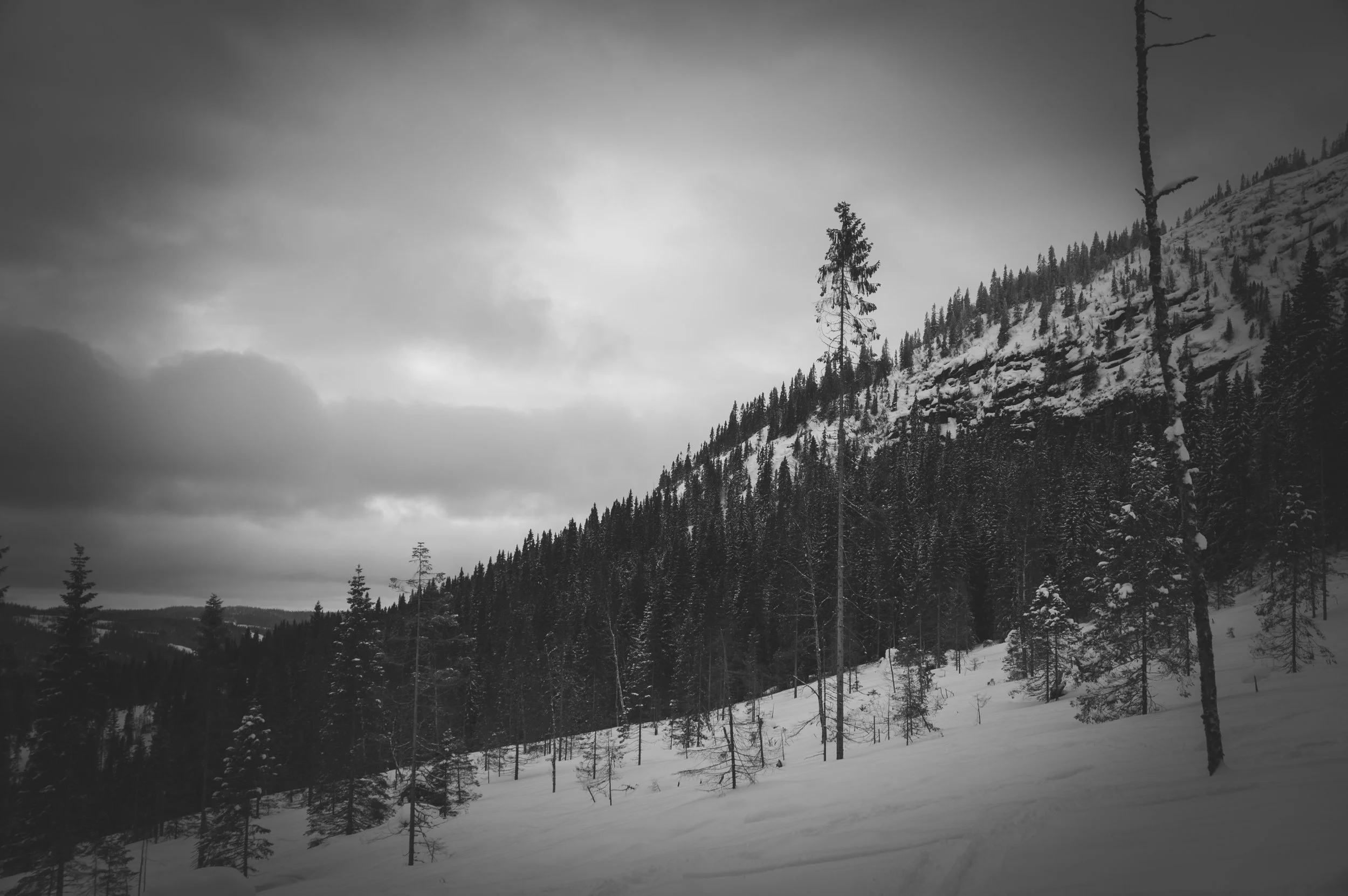 _DSC8879.jpg