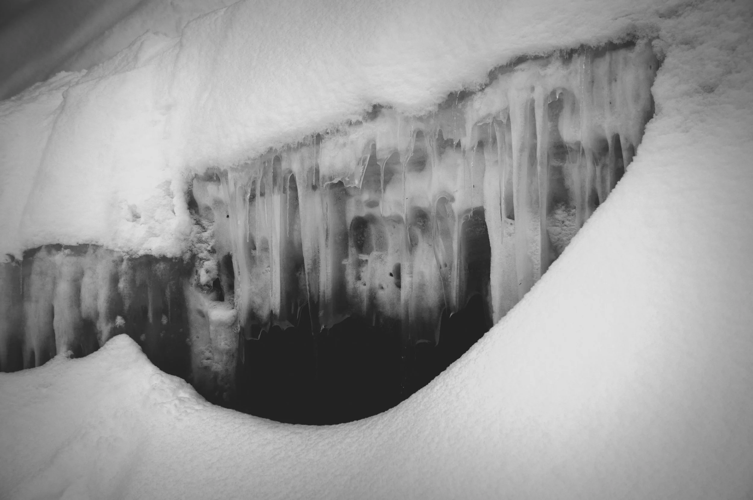 _DSC8890.jpg