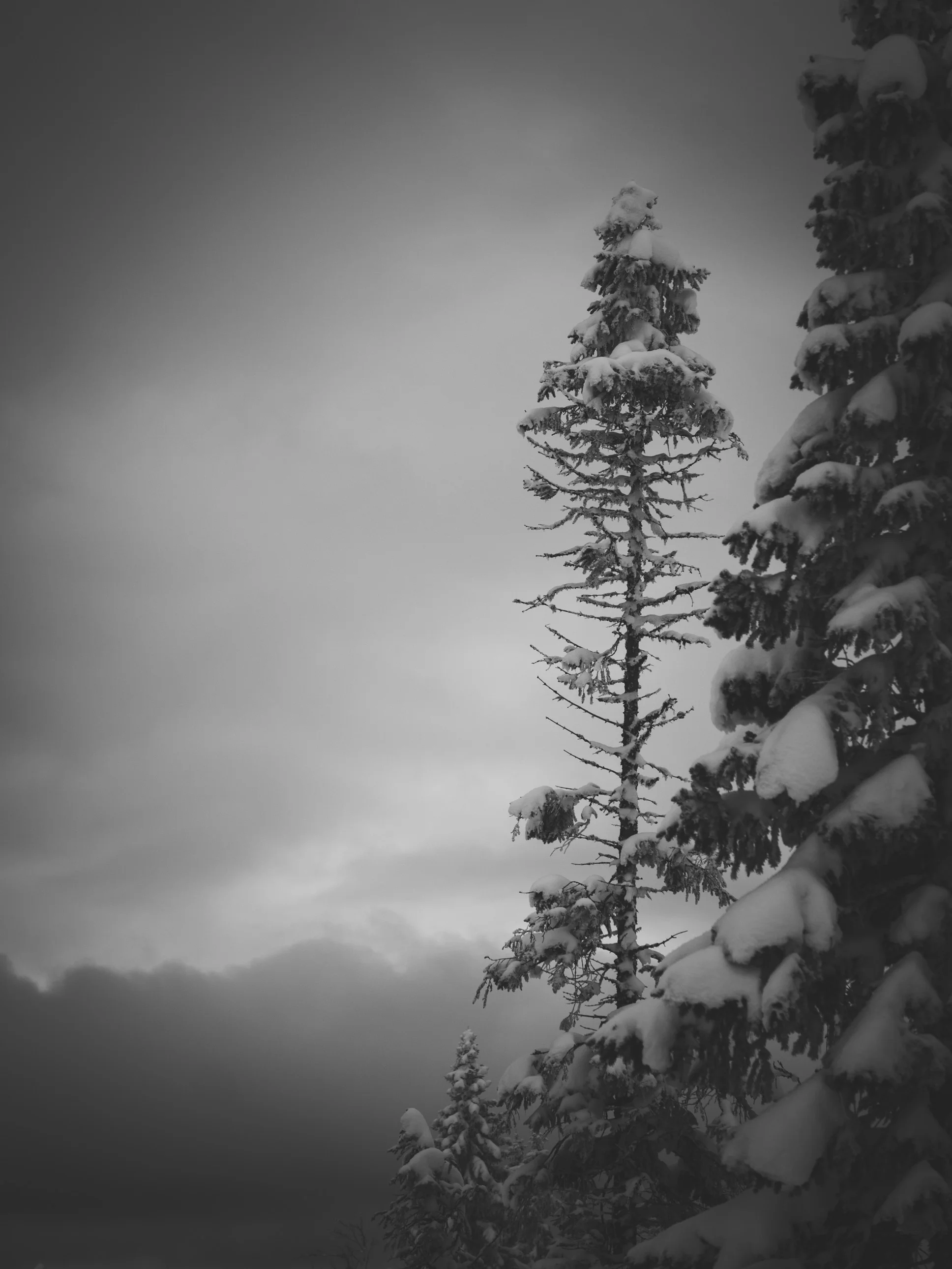 _DSC8903.jpg